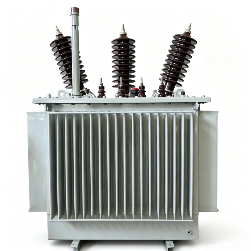 33kV Oil Immersed Distribution Transformer Three Phase Step Down Power Transformer (Kenya KPLC Standard)