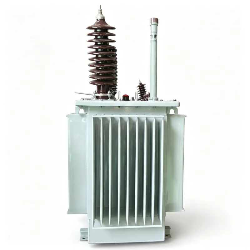 33kV Oil Immersed Distribution Transformer Three Phase Step Down Power Transformer (Kenya KPLC Standard)