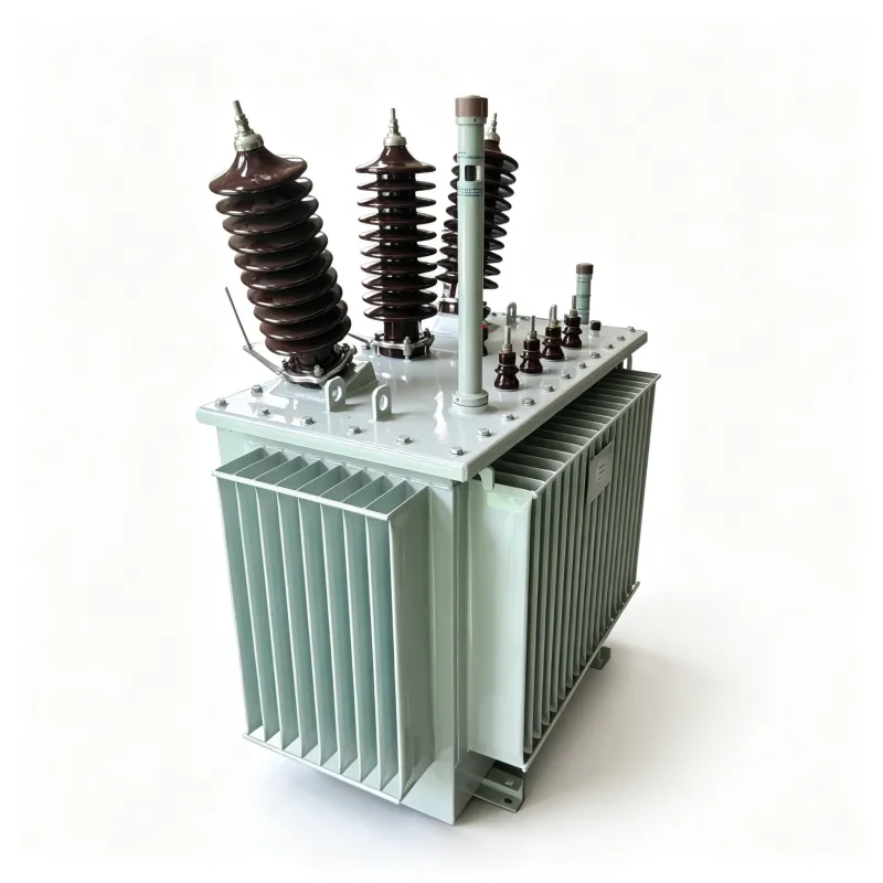33kV Oil Immersed Distribution Transformer Three Phase Step Down Power Transformer (Kenya KPLC Standard)