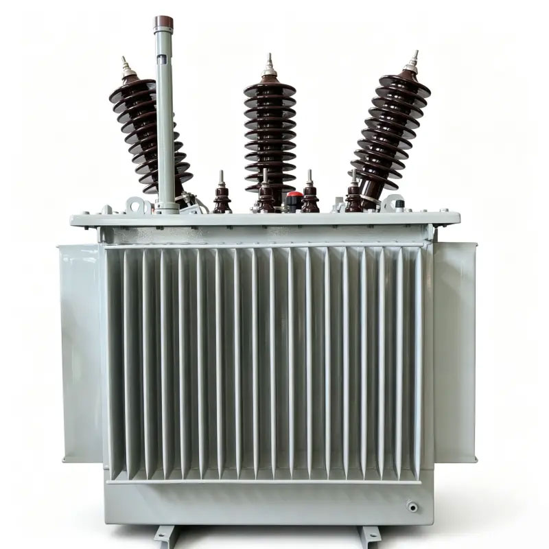 33kV Oil Immersed Distribution Transformer Three Phase Step Down Power Transformer (Kenya KPLC Standard)