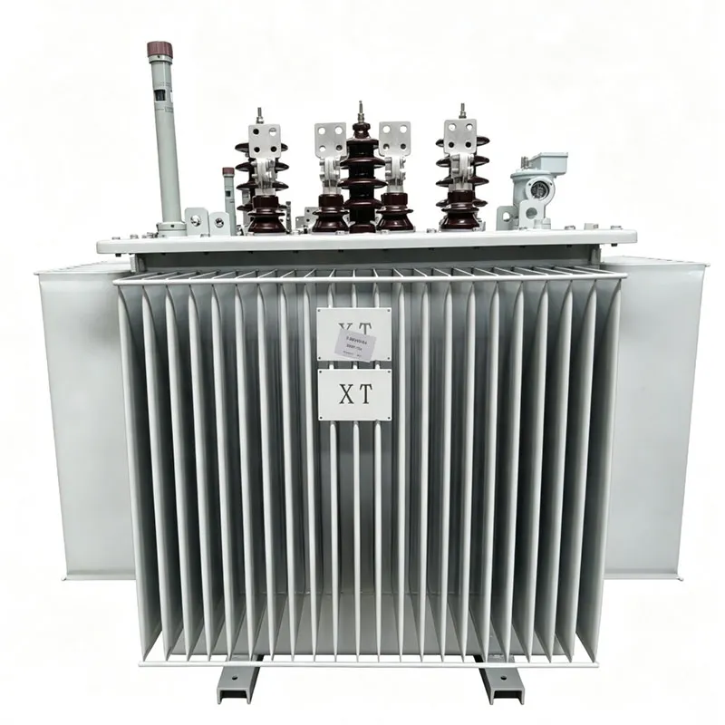 S20 High Efficiency Oil Distribution Transformer