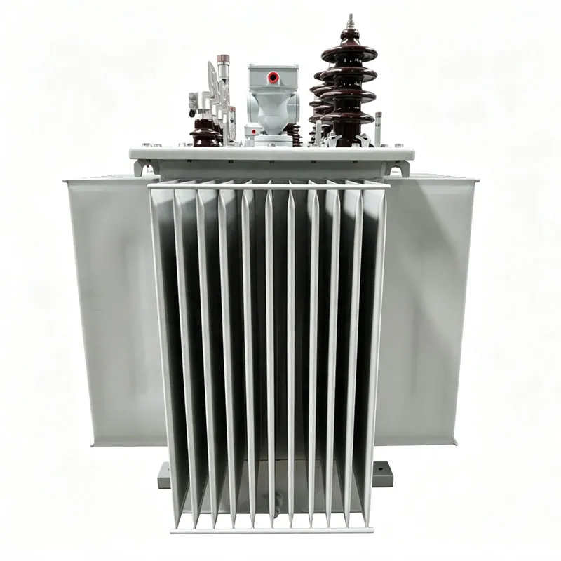 S20 High Efficiency Oil Distribution Transformer