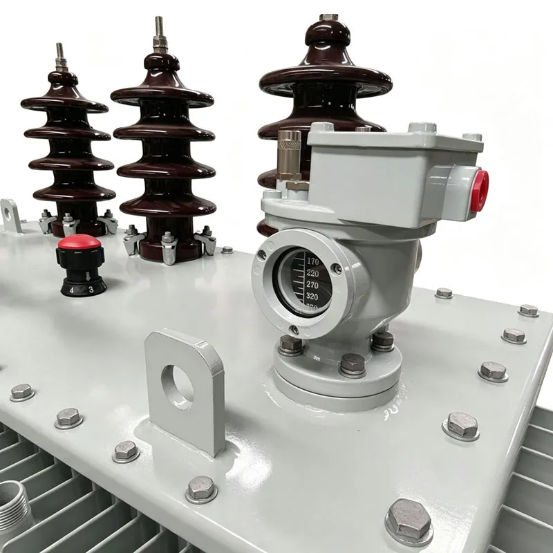 S20 High Efficiency Oil Distribution Transformer