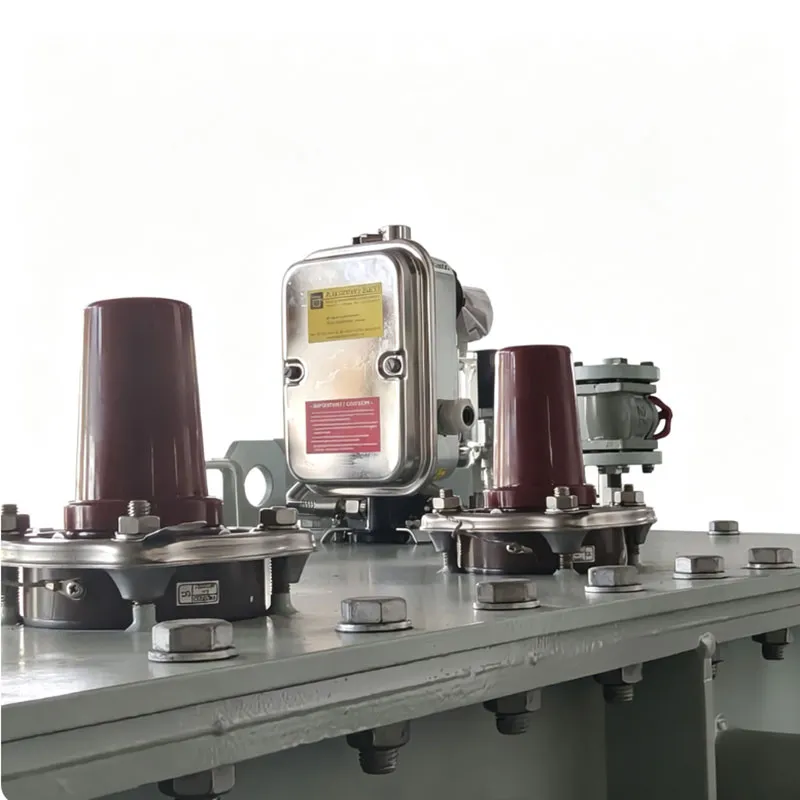 H59 33/0.4kV 1250kVA  Oil Immersed Transformer with OLTC