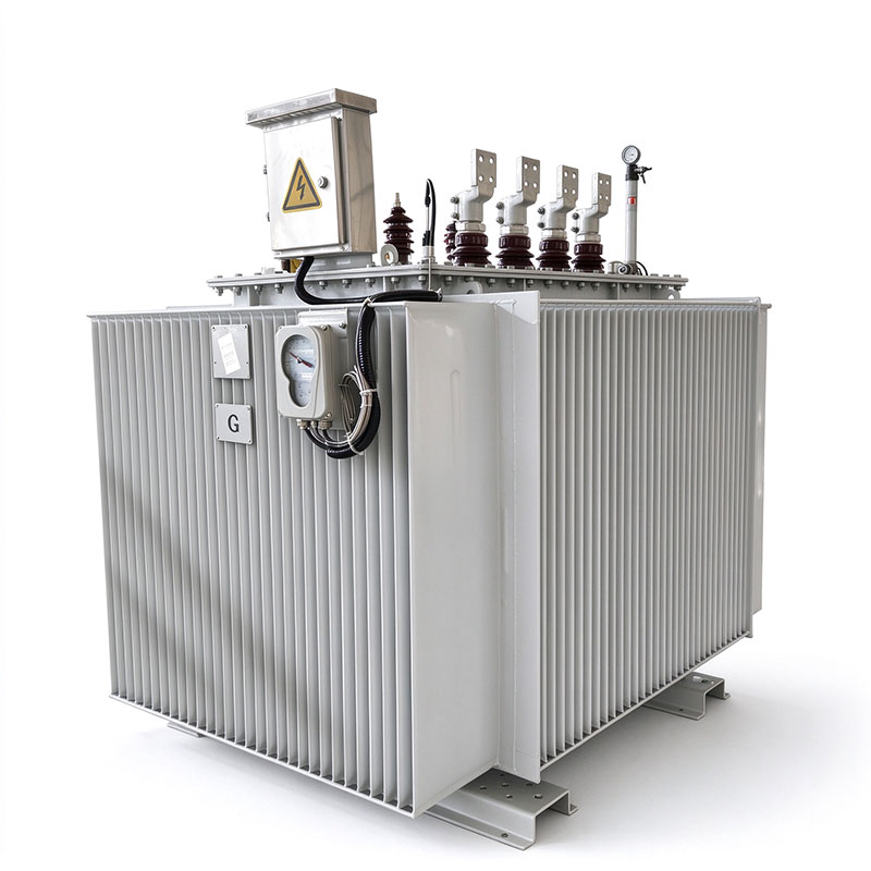 3150 kVA 6.3/0.4 kV Outdoor Oil-Immersed Transformer