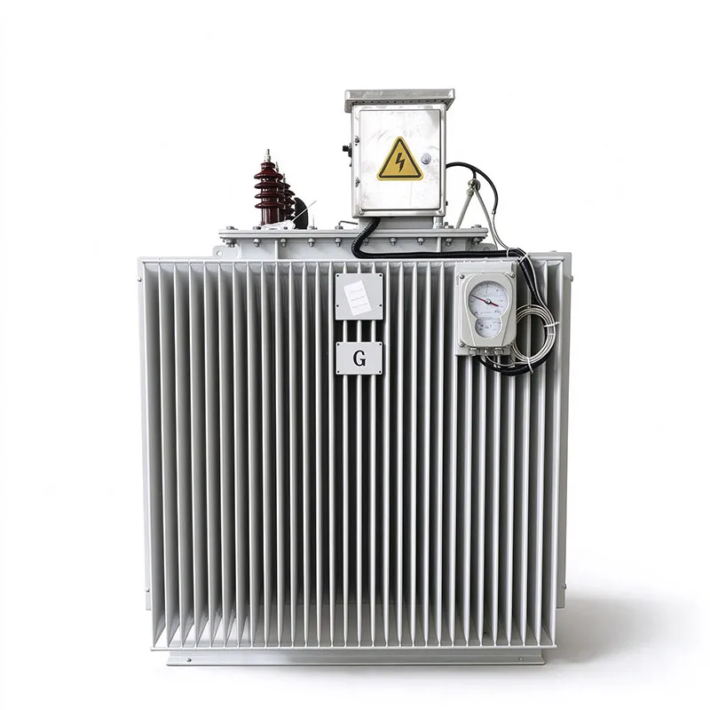 6.3kv transformer